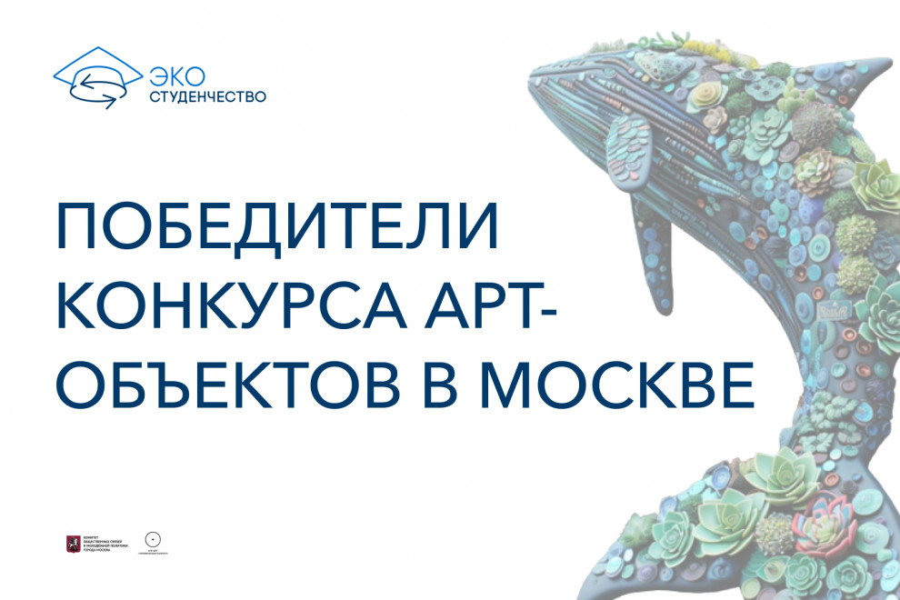 В Волгограде собрали арт-объект из 9 тыс. пластиковых крышек - Агентство социальной информации